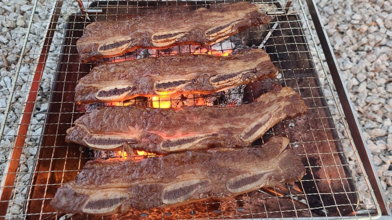 월성오토캠핑장 이미지