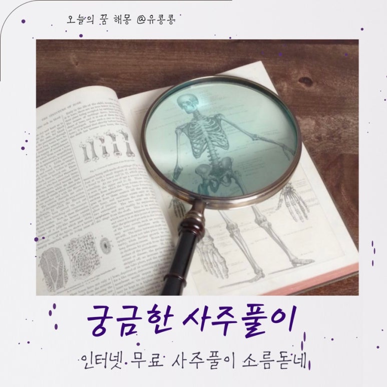 유콩하우스 이미지