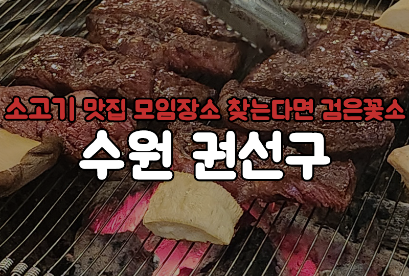 검은꽃소 이미지