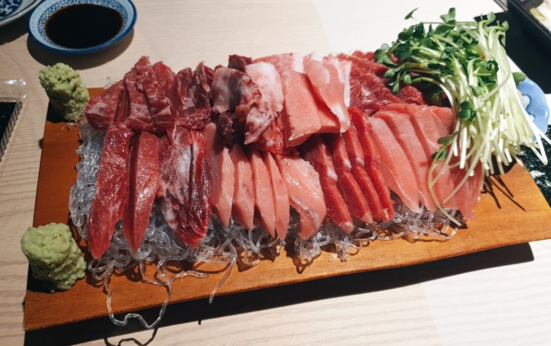 닷찌 이미지
