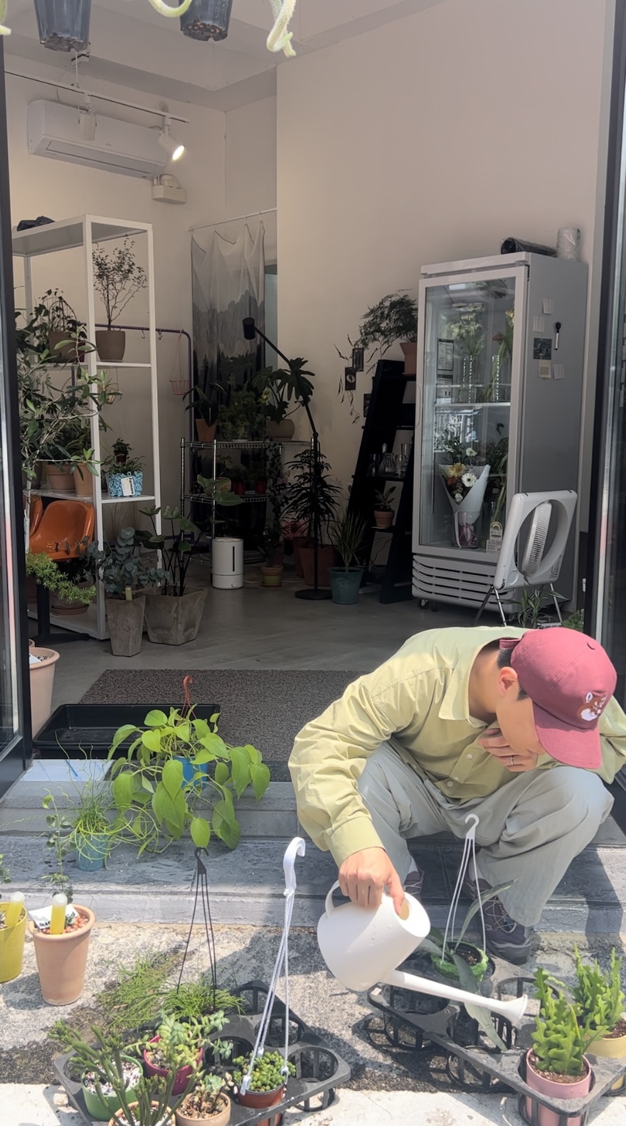 파모어 이미지