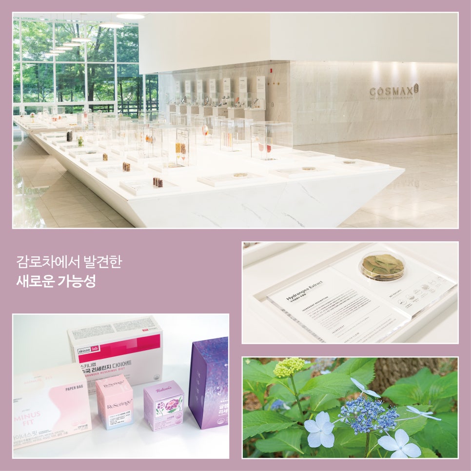 코스맥스바이오(주) 이미지
