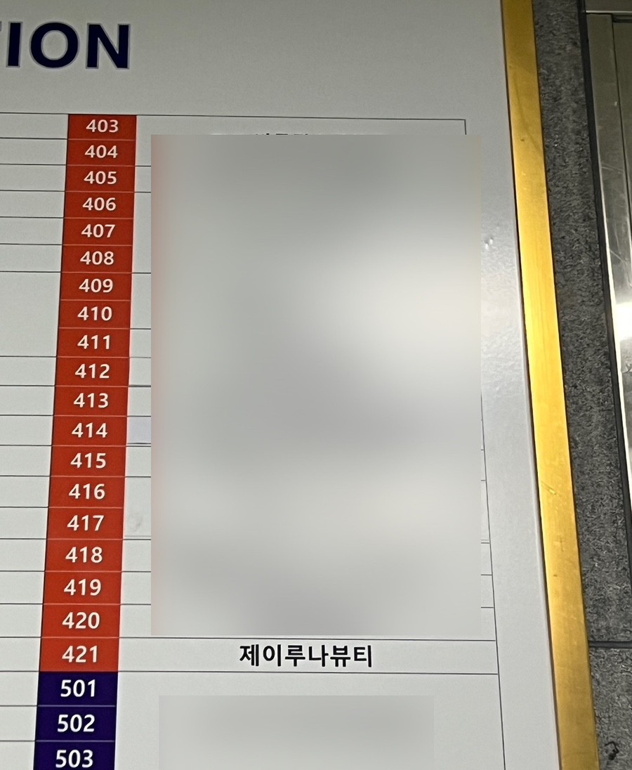 제이루나 이미지