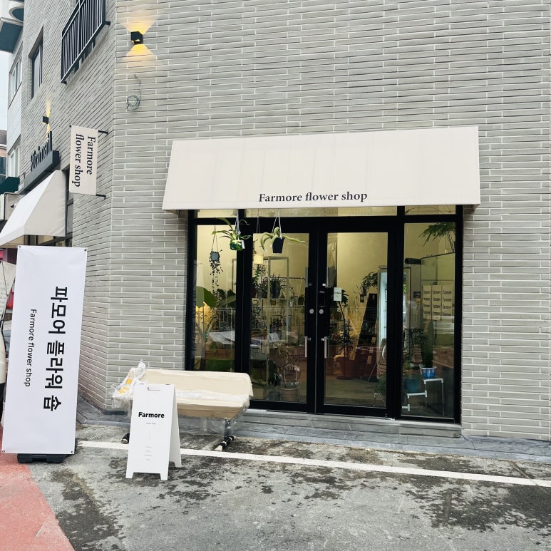 파모어 이미지