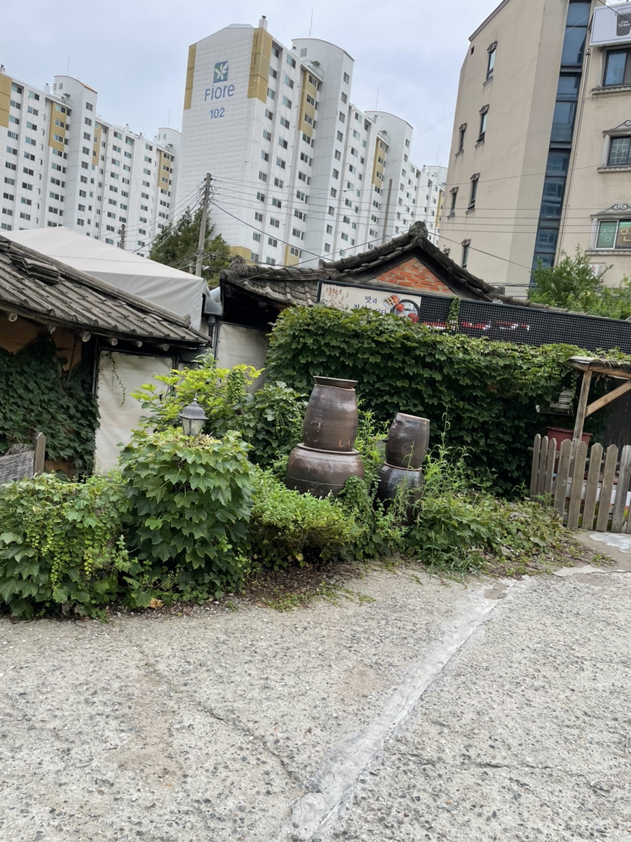 생생이 이미지