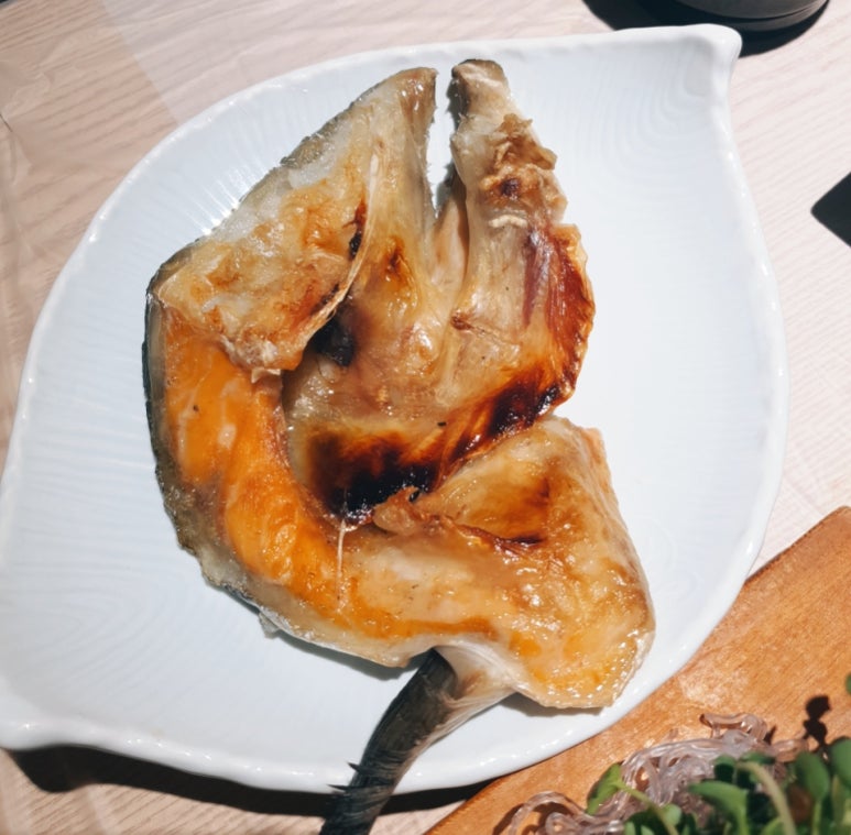닷찌 이미지