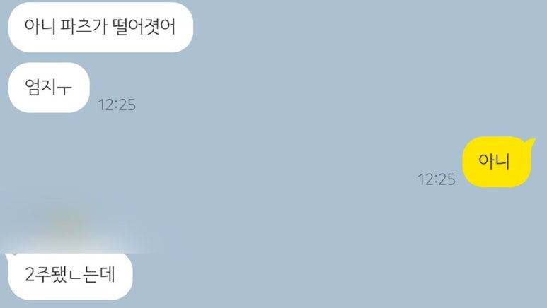 르헤네일 이미지