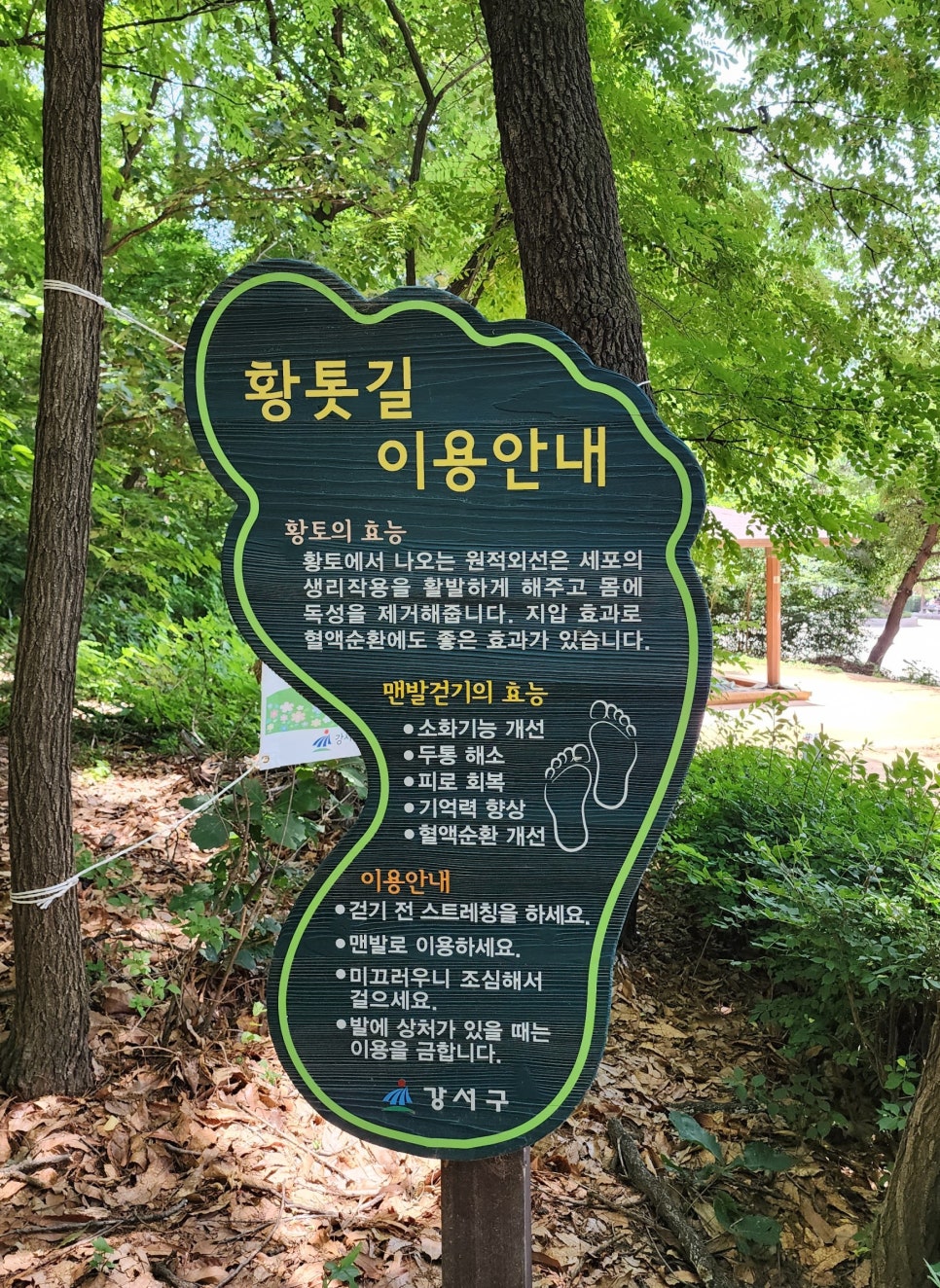 꿩고개 유아숲체험원 이미지