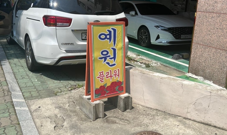 영앤로또 이미지