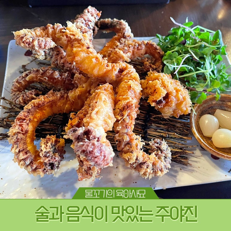 주야진 이미지