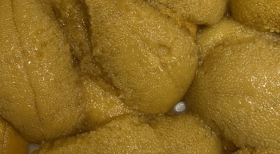 제일맛있는젓갈 이미지
