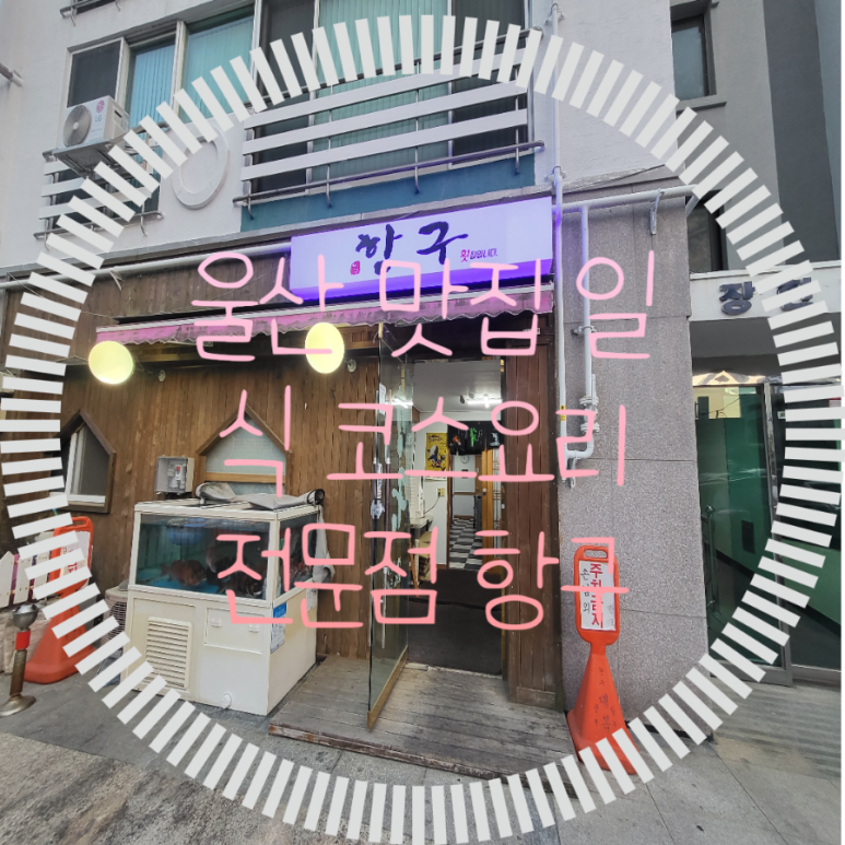 항구일식 이미지