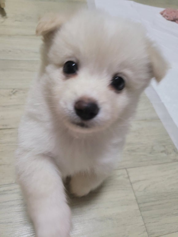 더오타임 이미지