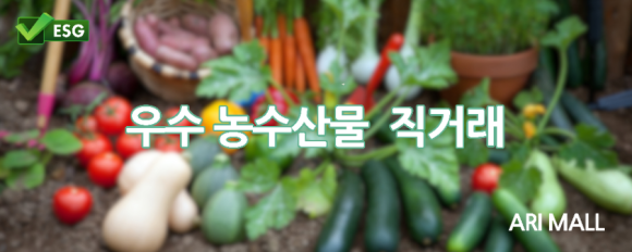 아리몰 이미지
