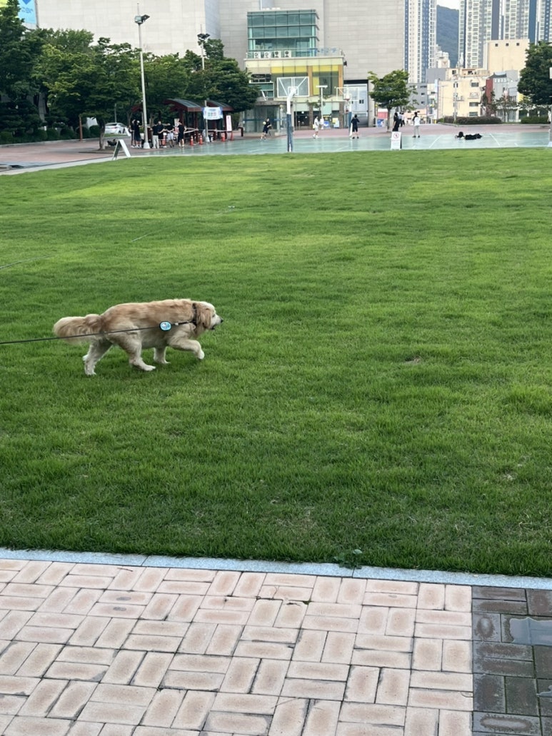 서울당신을위한정형외과의원 이미지