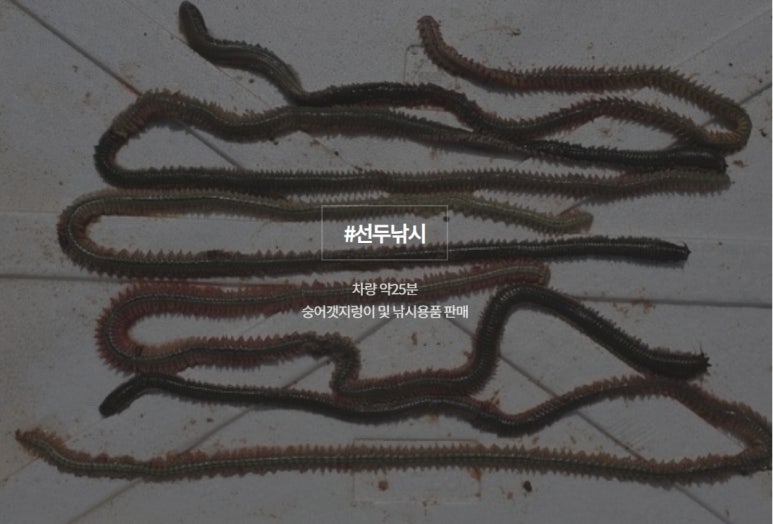 편의점낚시 이미지