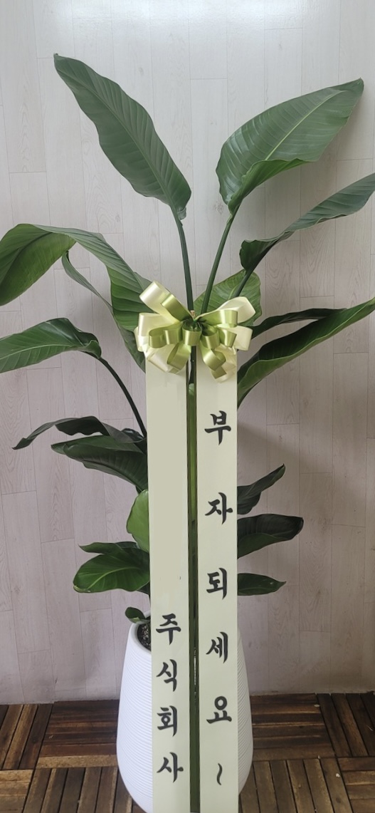 온리원유 이미지