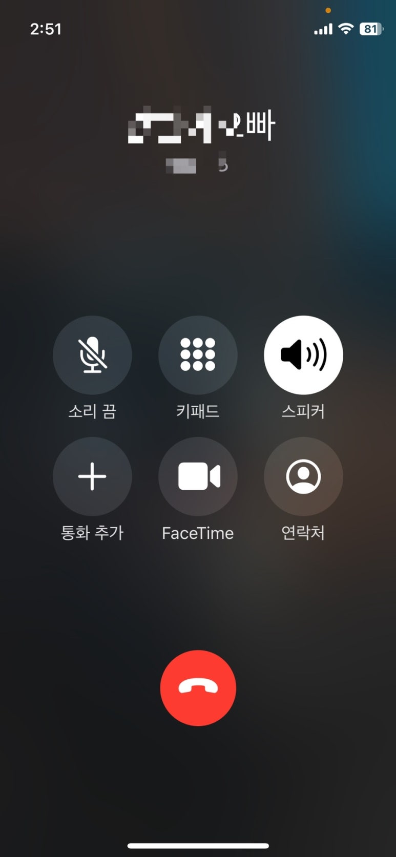 오홀리 이미지