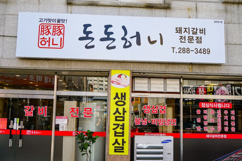 돈돈돼지 이미지