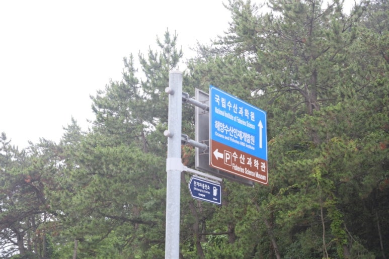 국립수산과학원 이미지