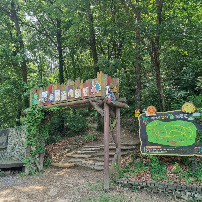 이천시 유아숲체험원 이미지