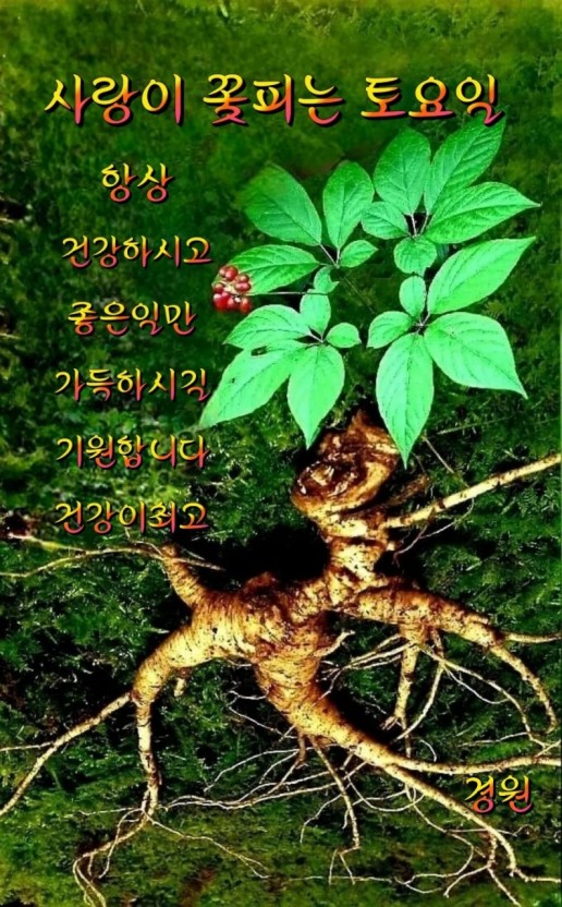만석민박 이미지