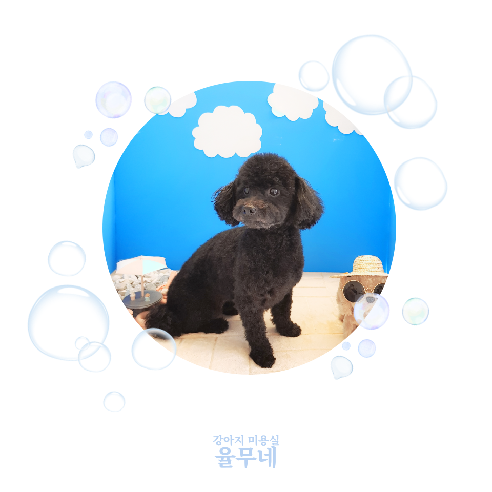 쥬비미용실 이미지