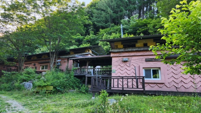 세쌍둥이네풀꽃세상 이미지