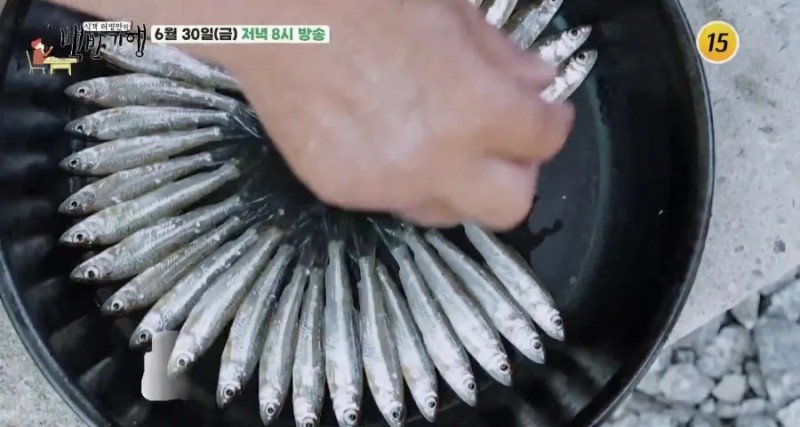 금강백반 이미지