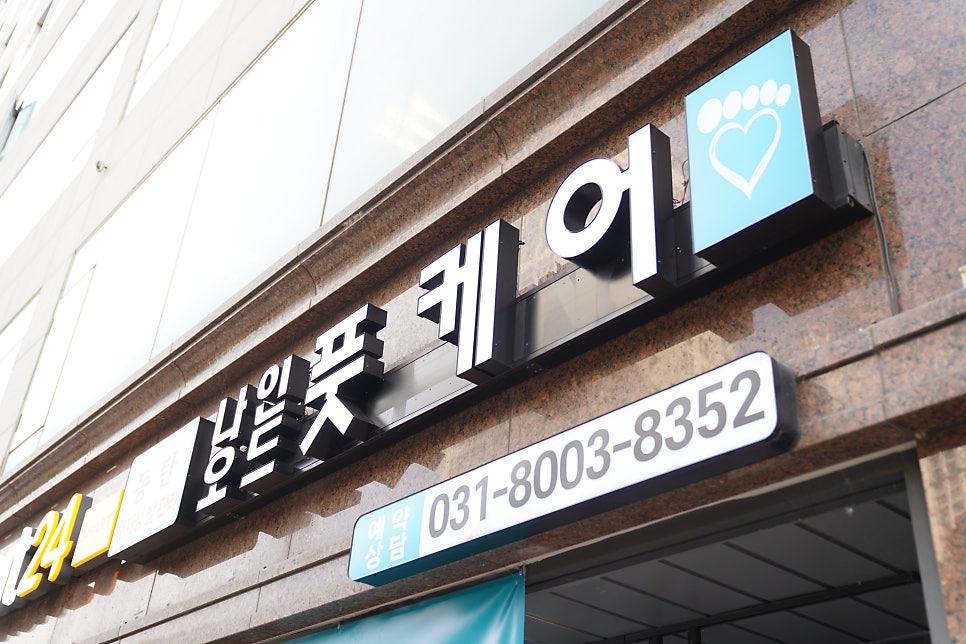 샵나인 이미지
