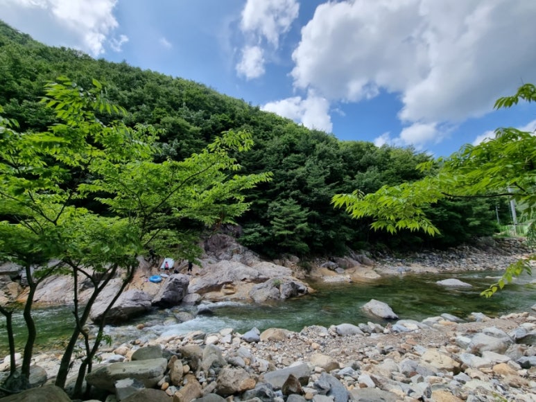 산촌가든 이미지