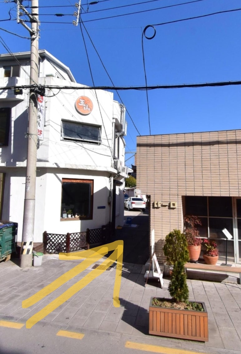 수풀림 이미지