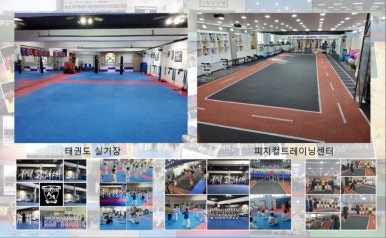 한국태권도컨설팅 이미지