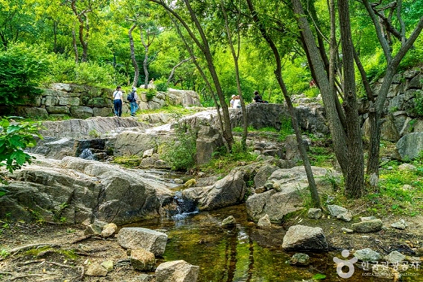 음악이흐르는소나기 이미지