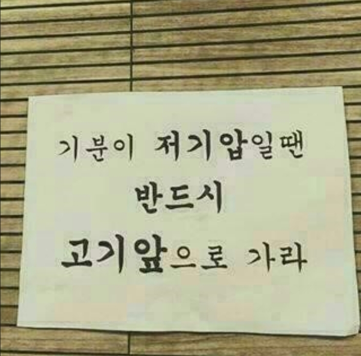 바른정육 이미지