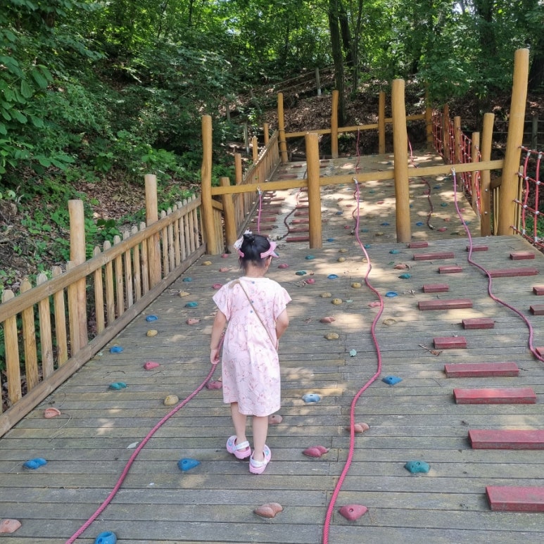 이천시 유아숲체험원 이미지