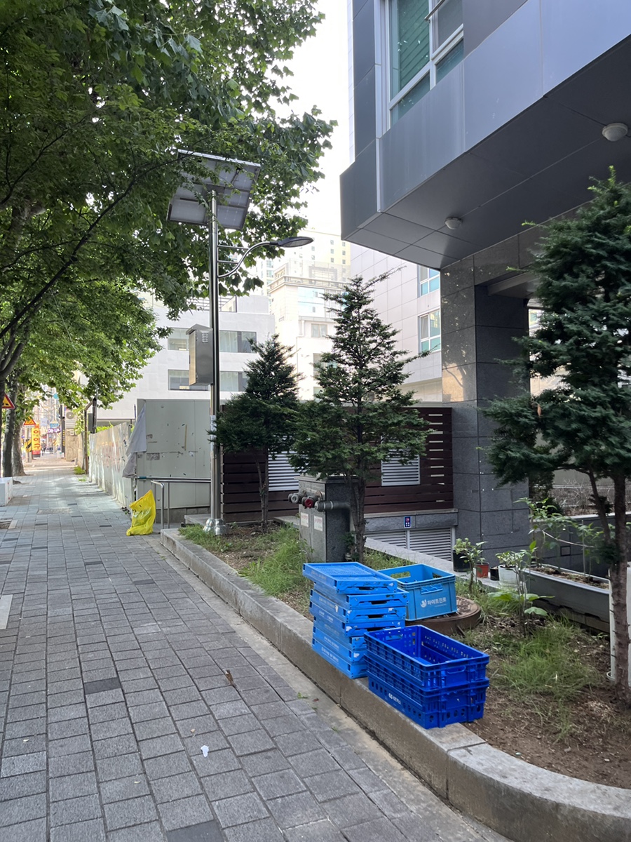 지예로움 이미지