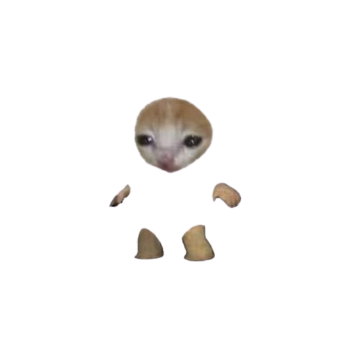 해피도너 이미지