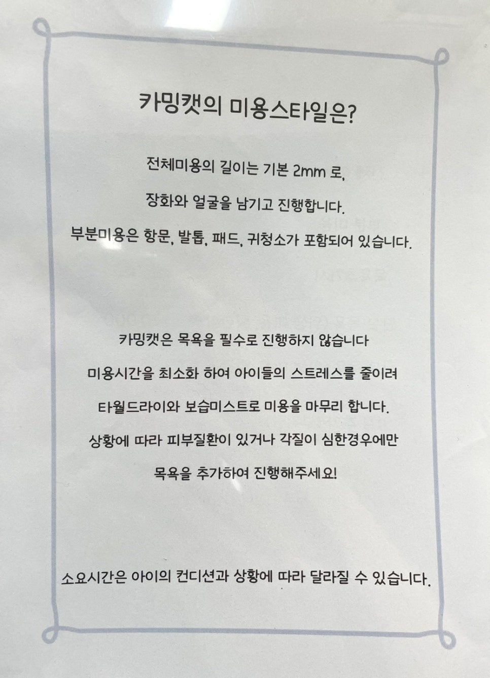 카밍캣 고양이미용 이미지