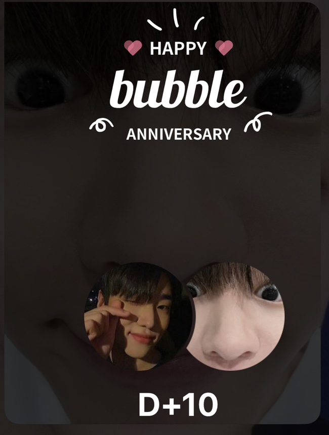 롸켓비 이미지