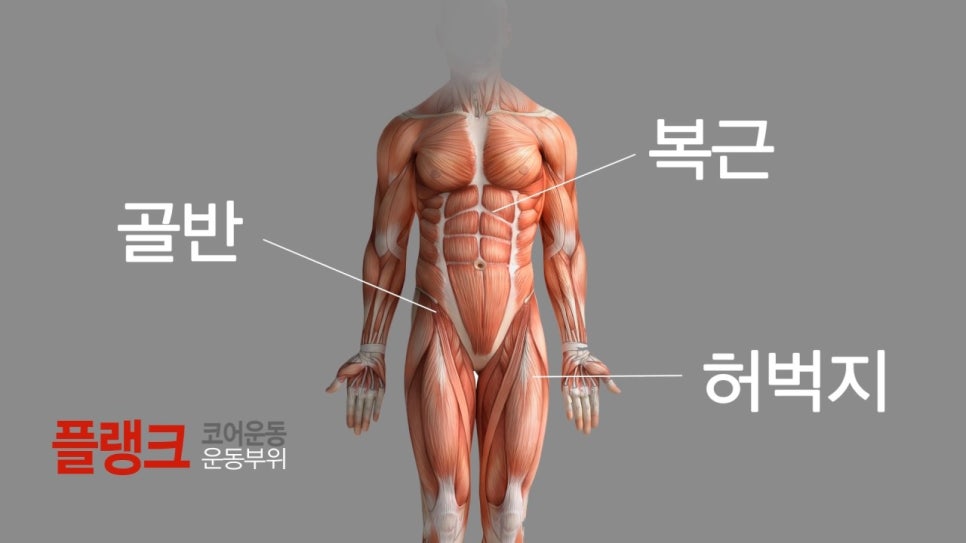 바디업트레이닝센터 이미지