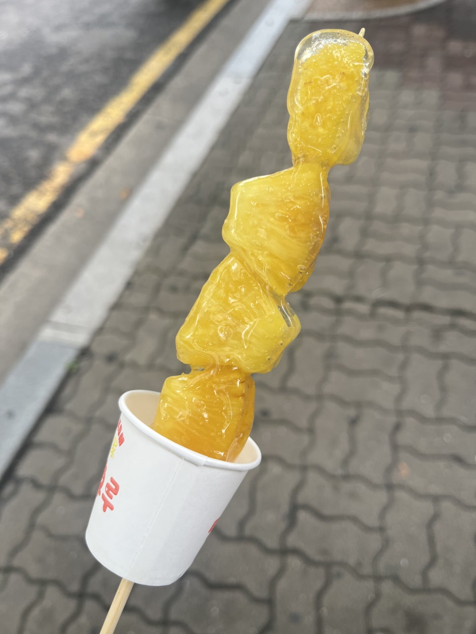 꼬알라파이 이미지