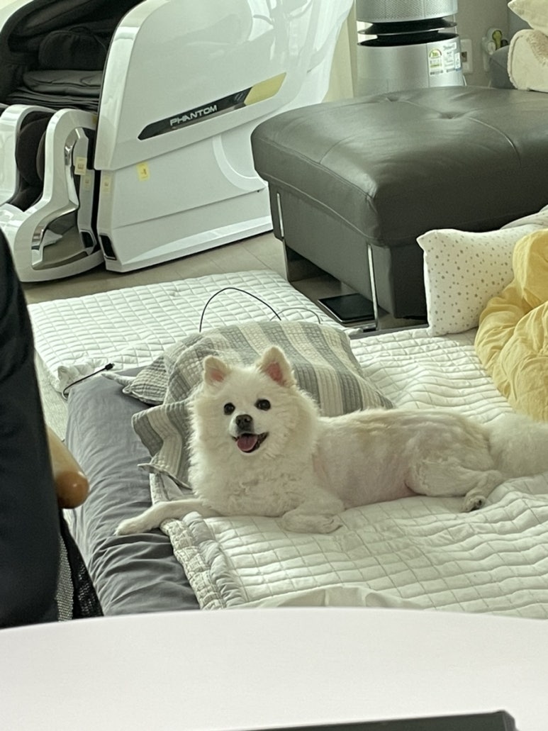 오홀리 이미지