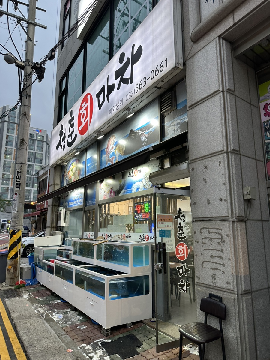 청춘회마차 이미지