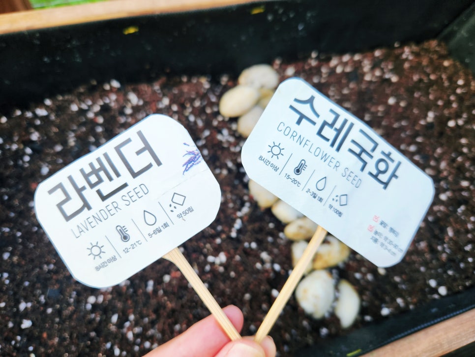 희원식물원 이미지