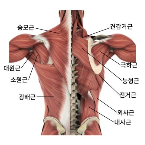 오*석 이미지