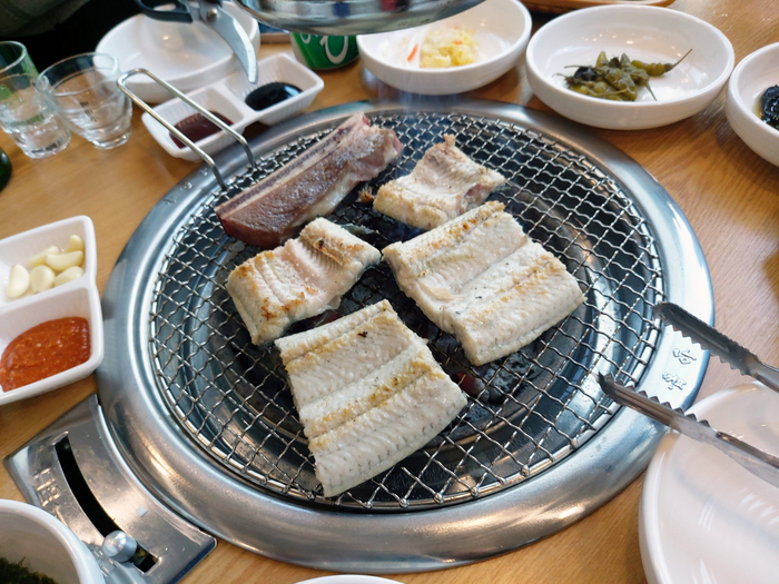 폭풍장어 이미지
