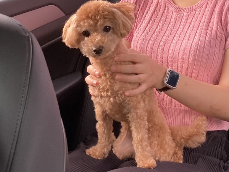 경원해물찜 이미지