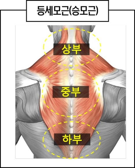 오*석 이미지