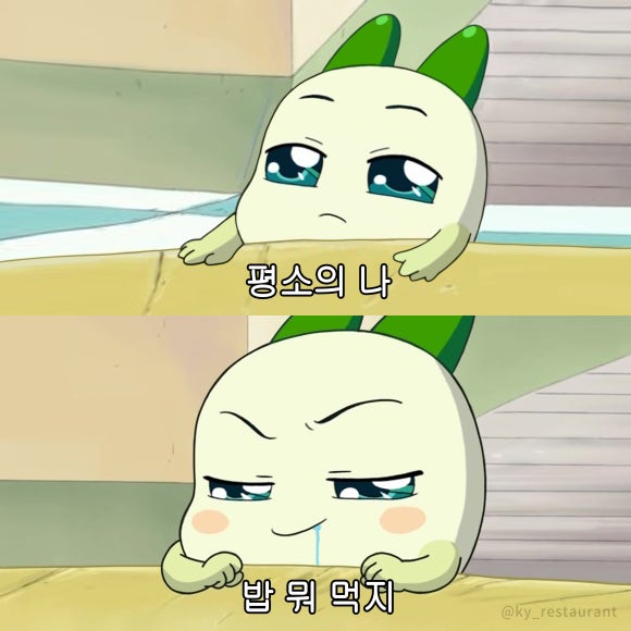 손수미가 이미지